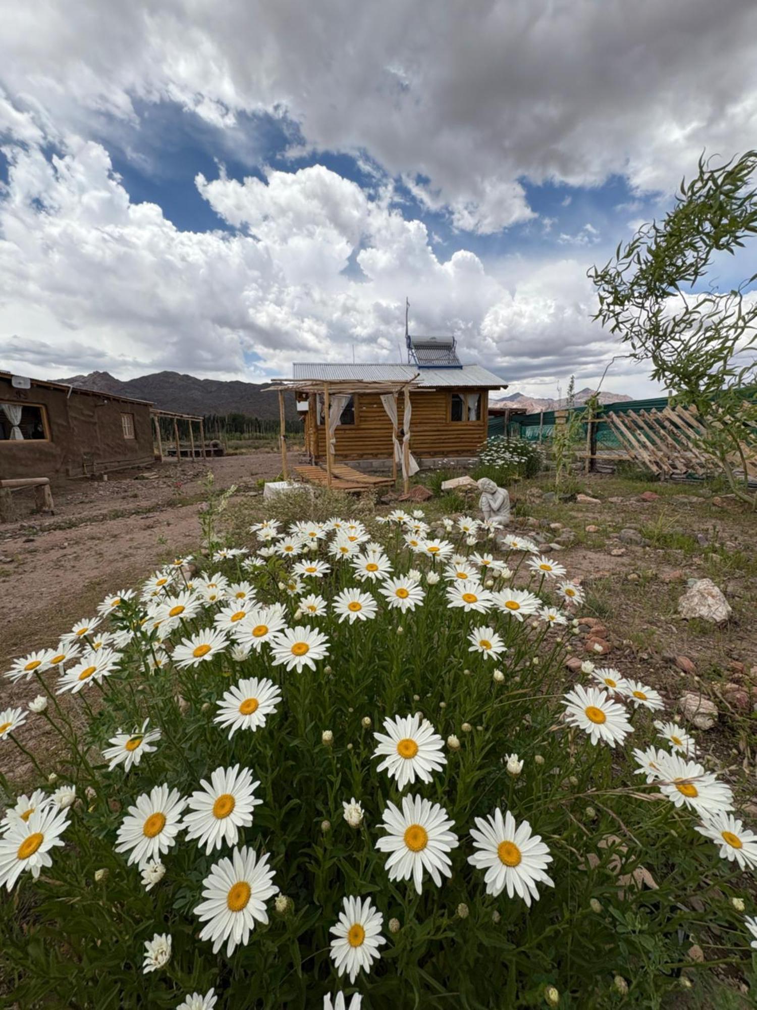 Paramitas Cabanas De Montana Uspallata Exterior photo