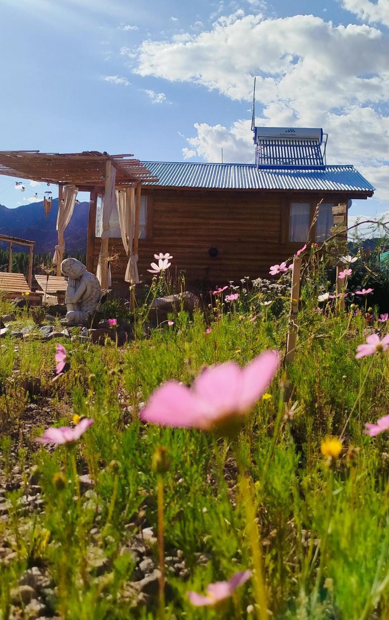 Paramitas Cabanas De Montana Uspallata Exterior photo